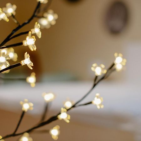 Banská Štiavnica Apartman Dobre Rano מראה חיצוני תמונה